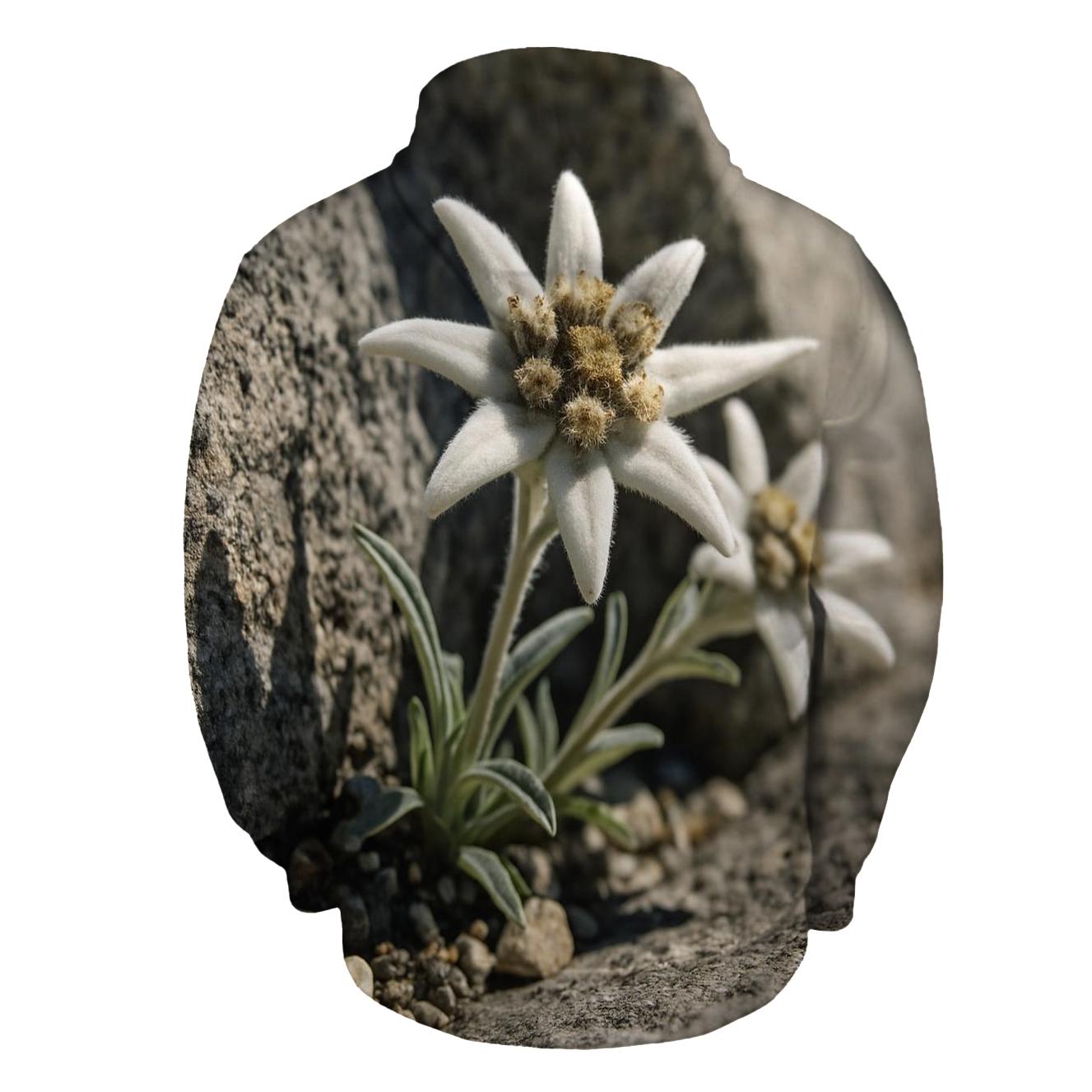 Alpine Edelweiss In Wind Sheltered Crevice hoodie styles