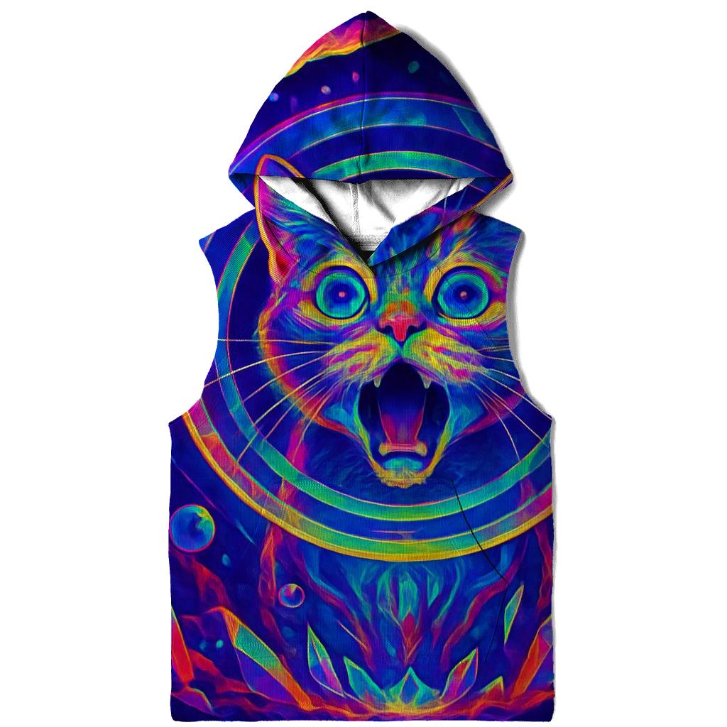 Crystal Cave Echo Cat premium hoodies