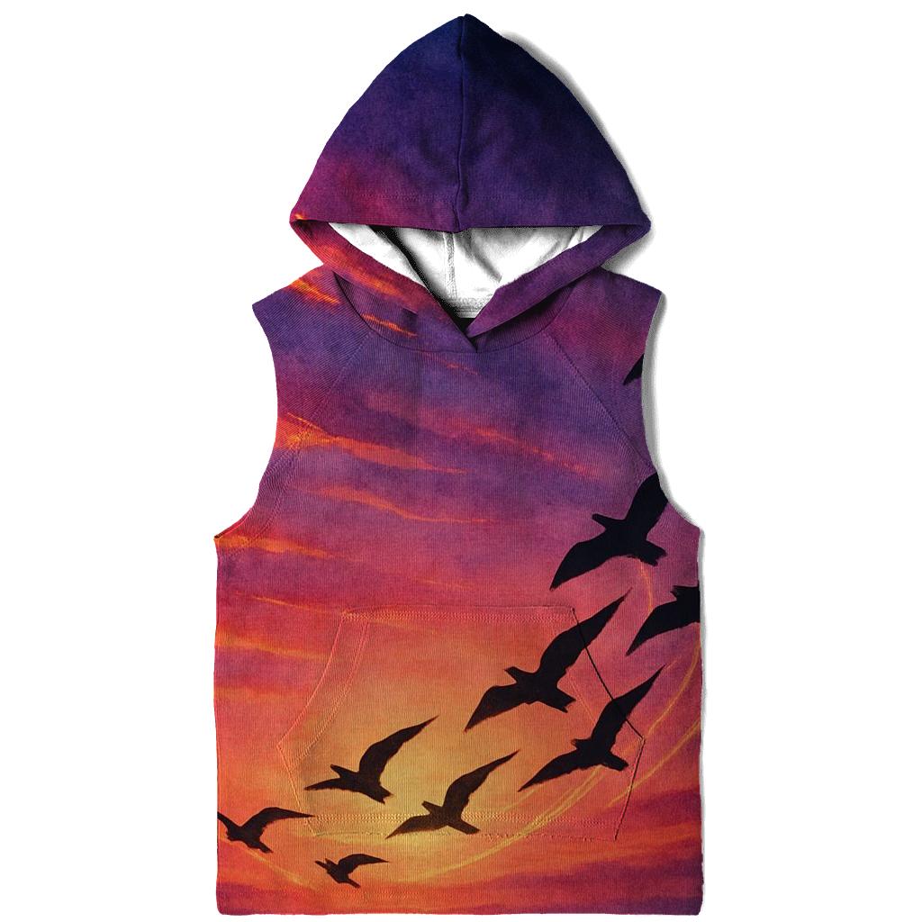 Comet Birds At Sundown graphic hoodies