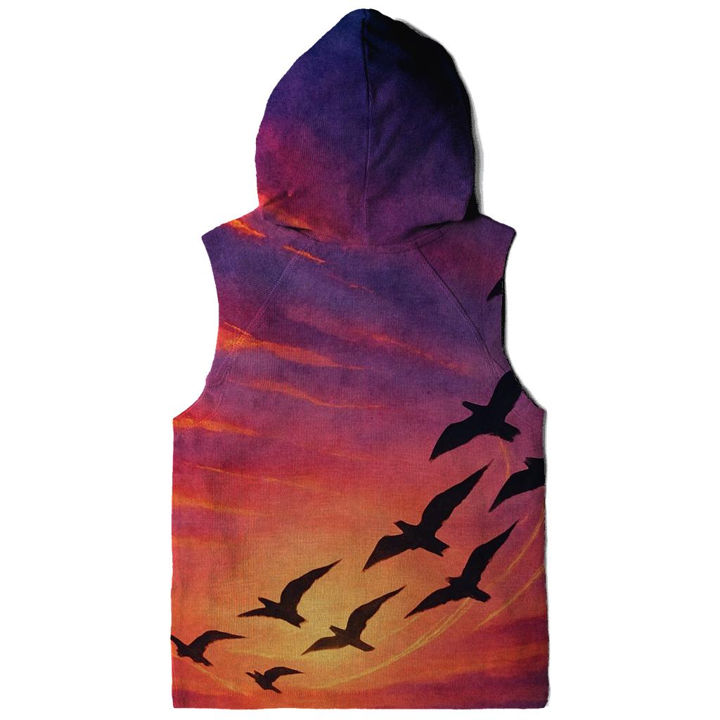 Comet Birds At Sundown graphic hoodies