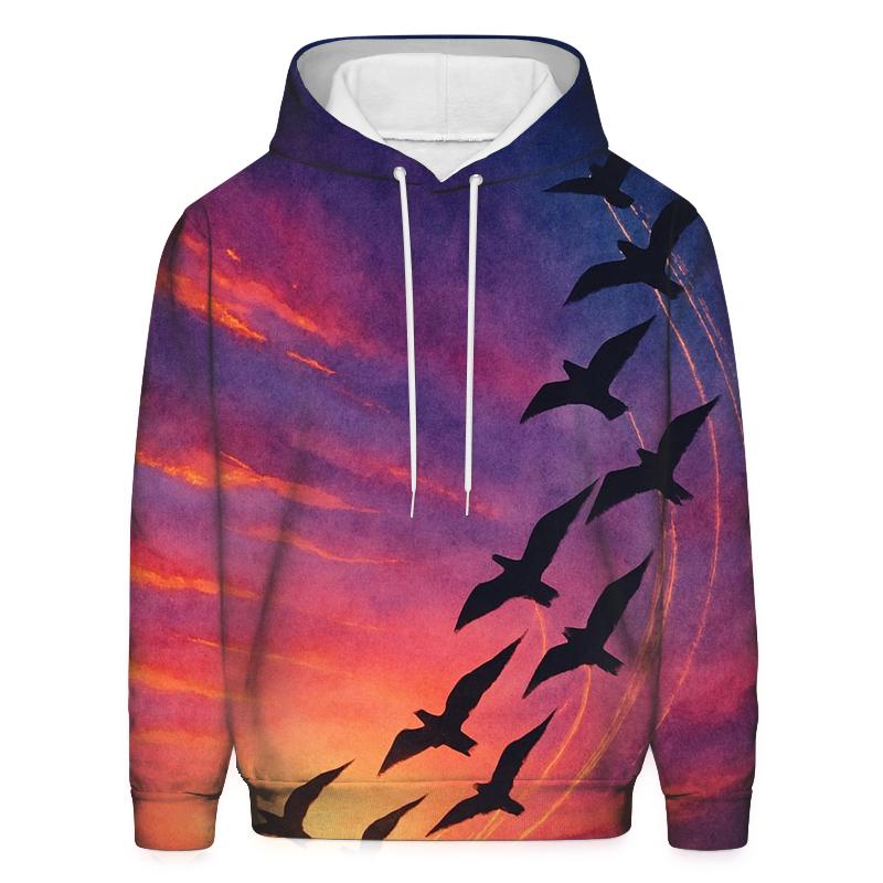 Comet Birds At Sundown hoodies fashion