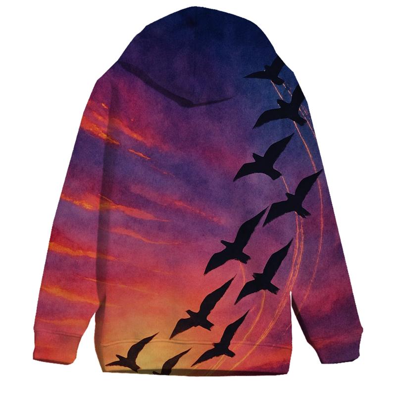 Comet Birds At Sundown hoodies fashion
