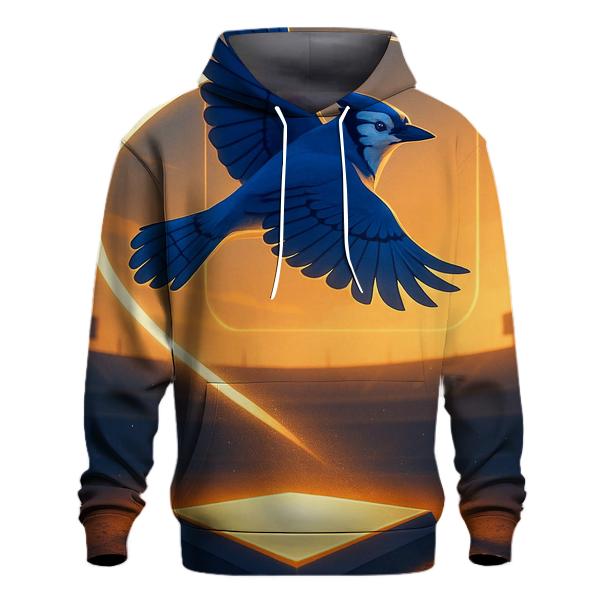 Blue Jays Solar Sunset Homeplate pullover hoodies