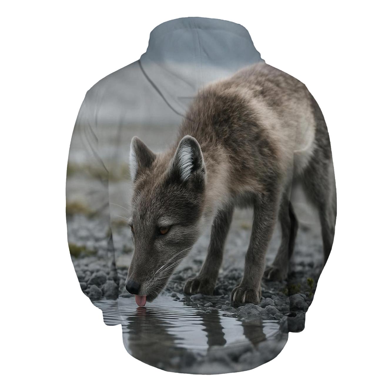 Glacier Pool Drink Arctic Fox hoodie trends