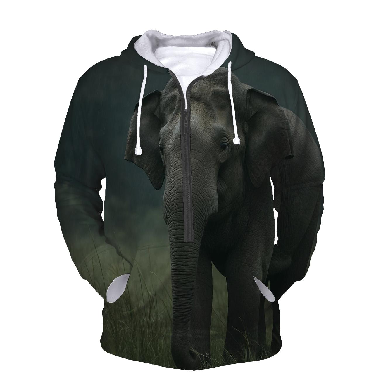 Monsoon Pause Indian Elephant heavyweight hoodies
