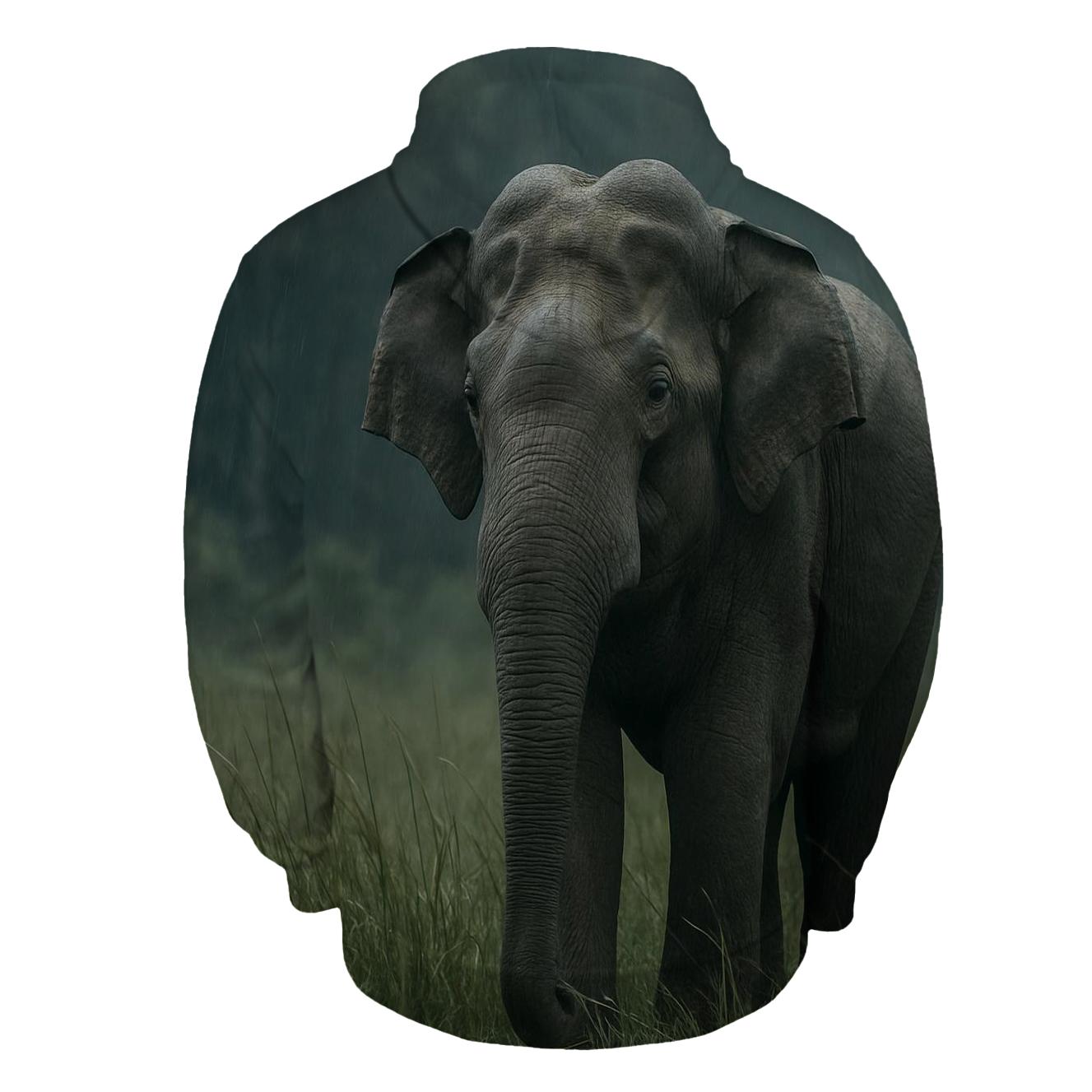 Monsoon Pause Indian Elephant heavyweight hoodies