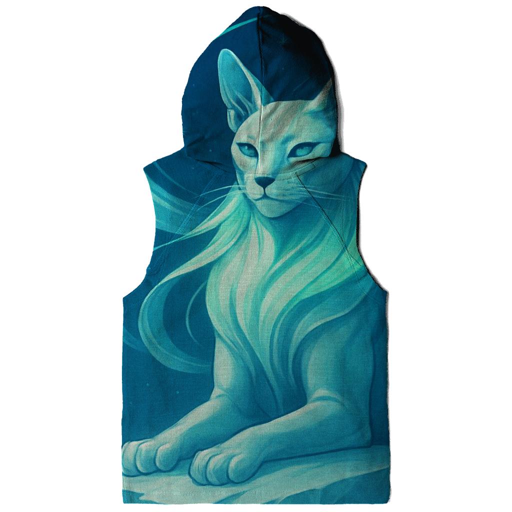 Frozen Aurora Sphinx Cat embroidered hoodies