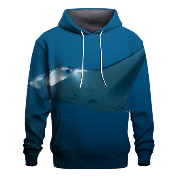 Thermocline Glide Reef Manta Ray embroidered hoodies
