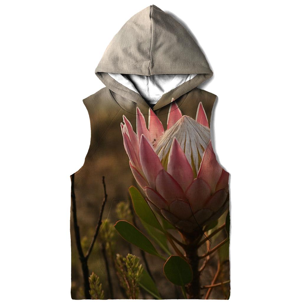 King Protea In Fynbos After A Controlled Burn hoodies fashion