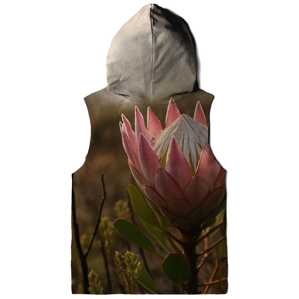 King Protea In Fynbos After A Controlled Burn hoodies fashion