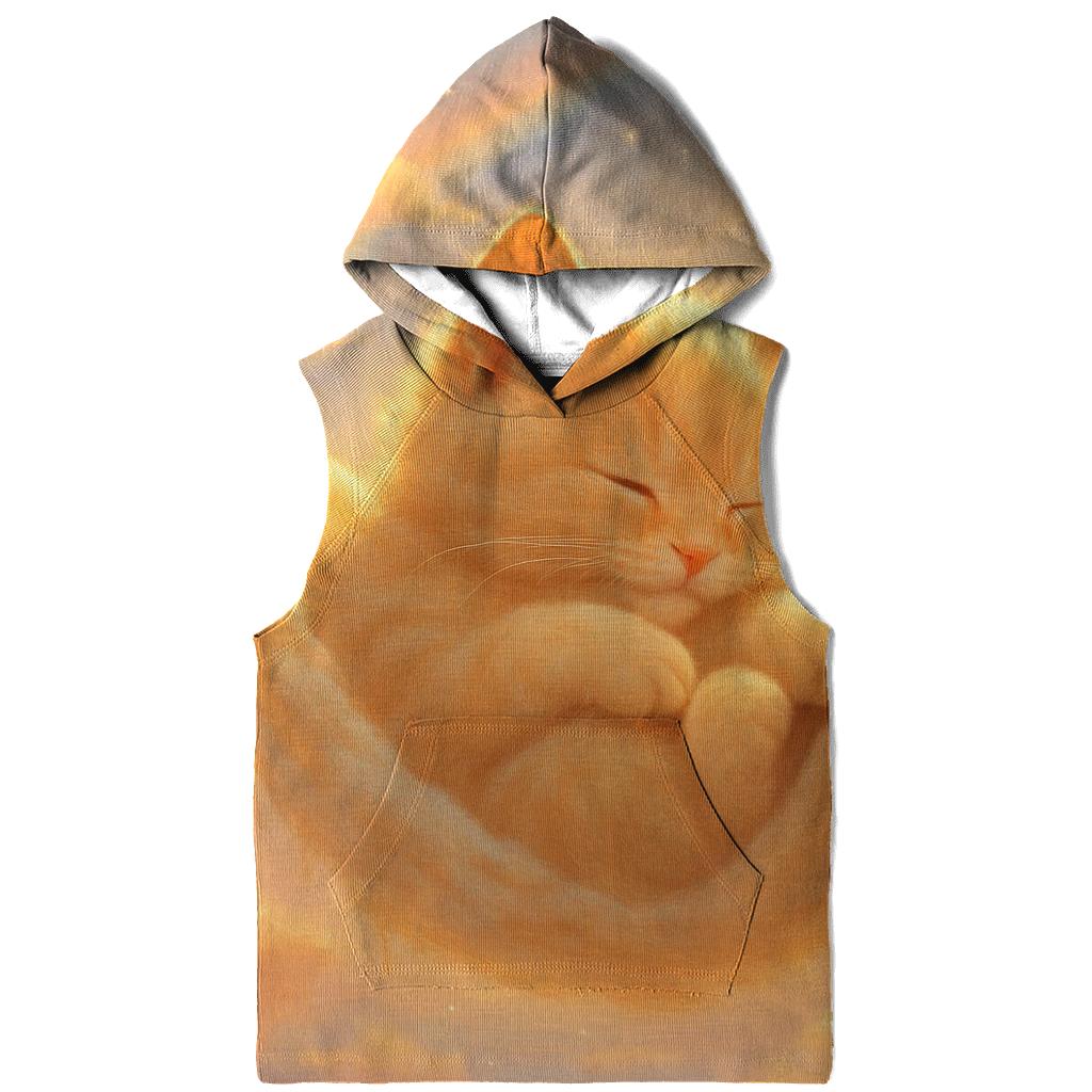 Sunrise Cloud Hammock Cat Nap premium hoodies