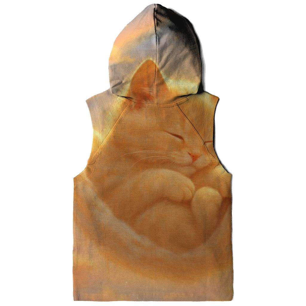 Sunrise Cloud Hammock Cat Nap premium hoodies