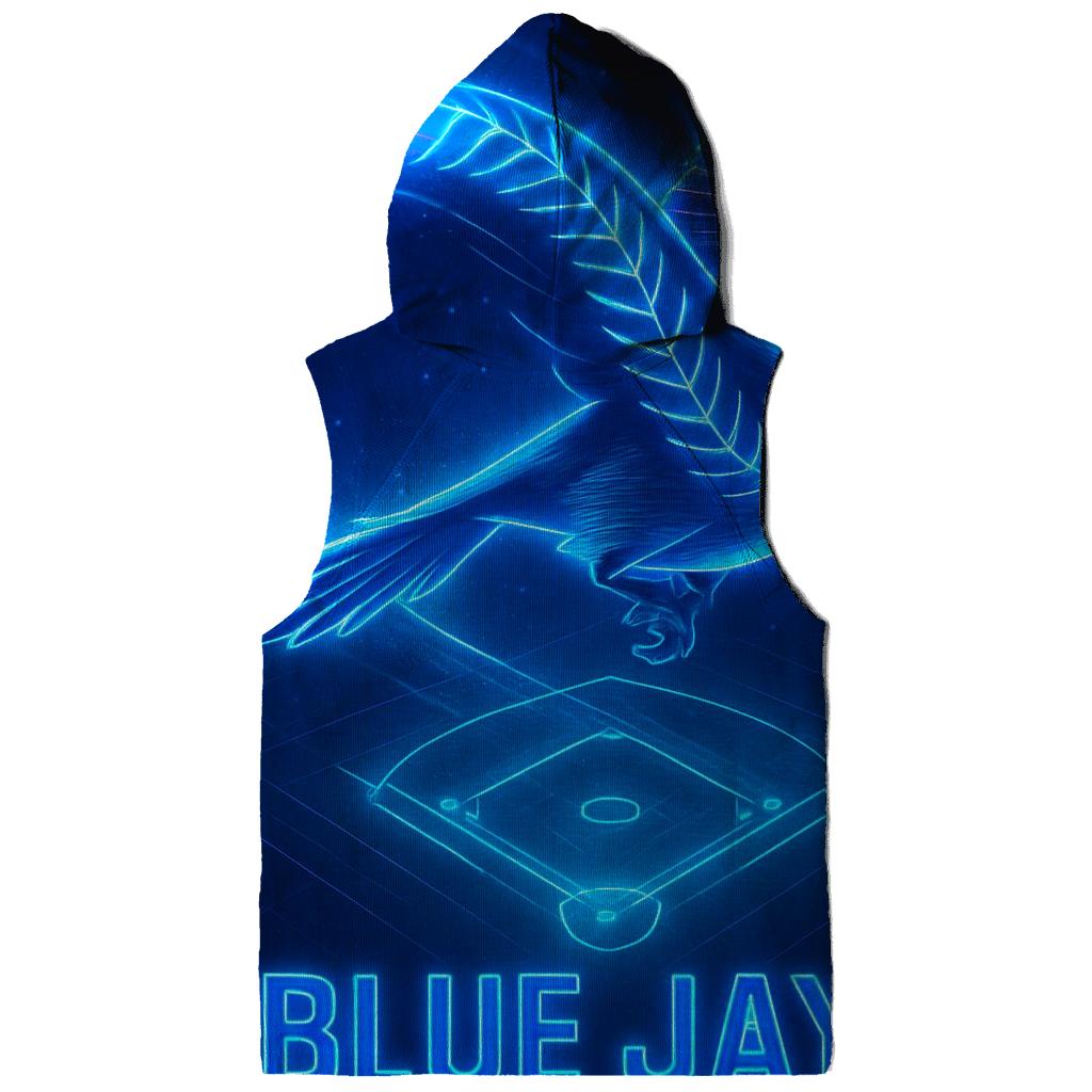 Neon Flight Path Of Blue Jays embroidered hoodies