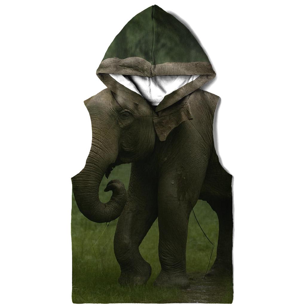 Monsoon Shade Indian Elephant hoodie designs