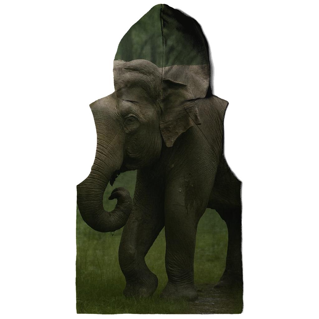 Monsoon Shade Indian Elephant hoodie designs