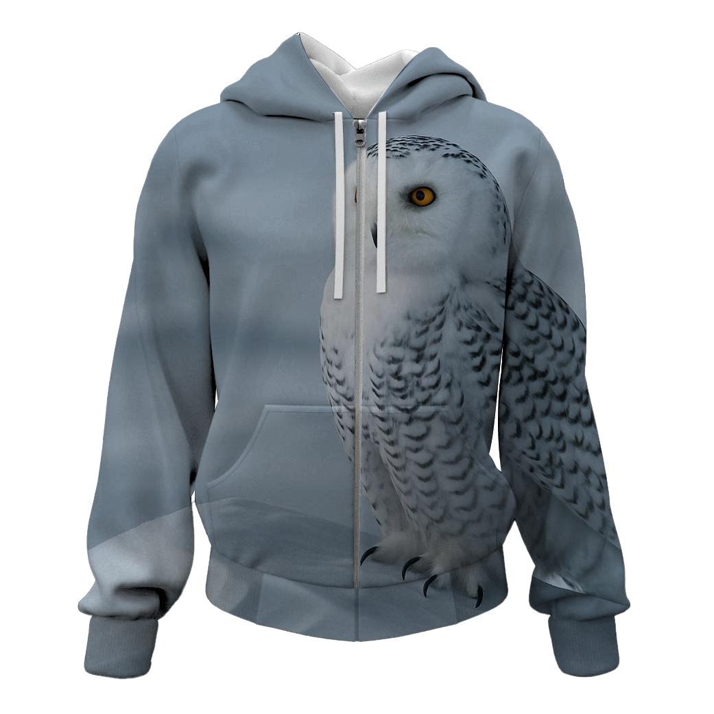 Aurora Stillness Snowy Owl hoodies fashion