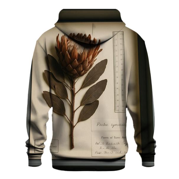 Herbarium Drawer With Protea Specimen Labels hoodie designs