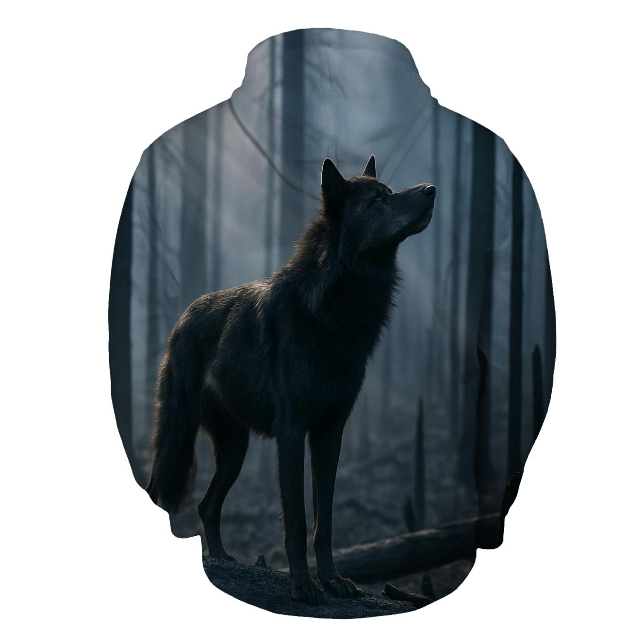 Ashfall Sentinel After The Burn hoodie designs