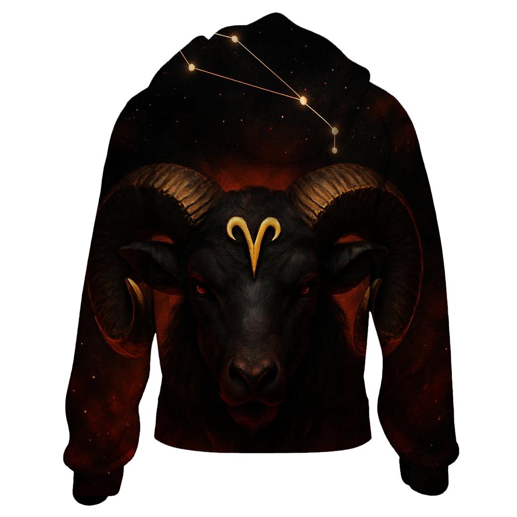 Aries Fire Forge Ram Glyph And Star Map embroidered hoodies