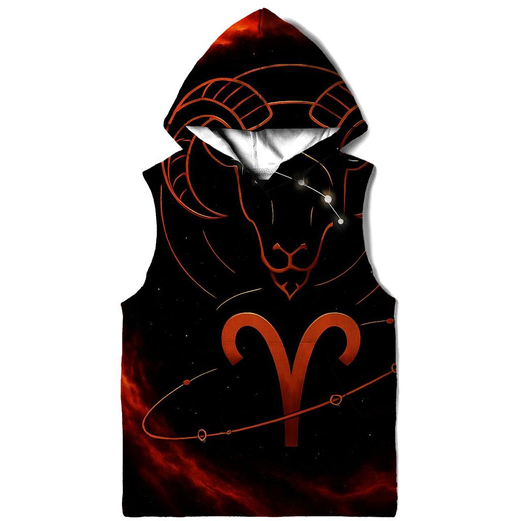Aries Fire Ram Retrograde Orbit Emblem embroidered hoodies