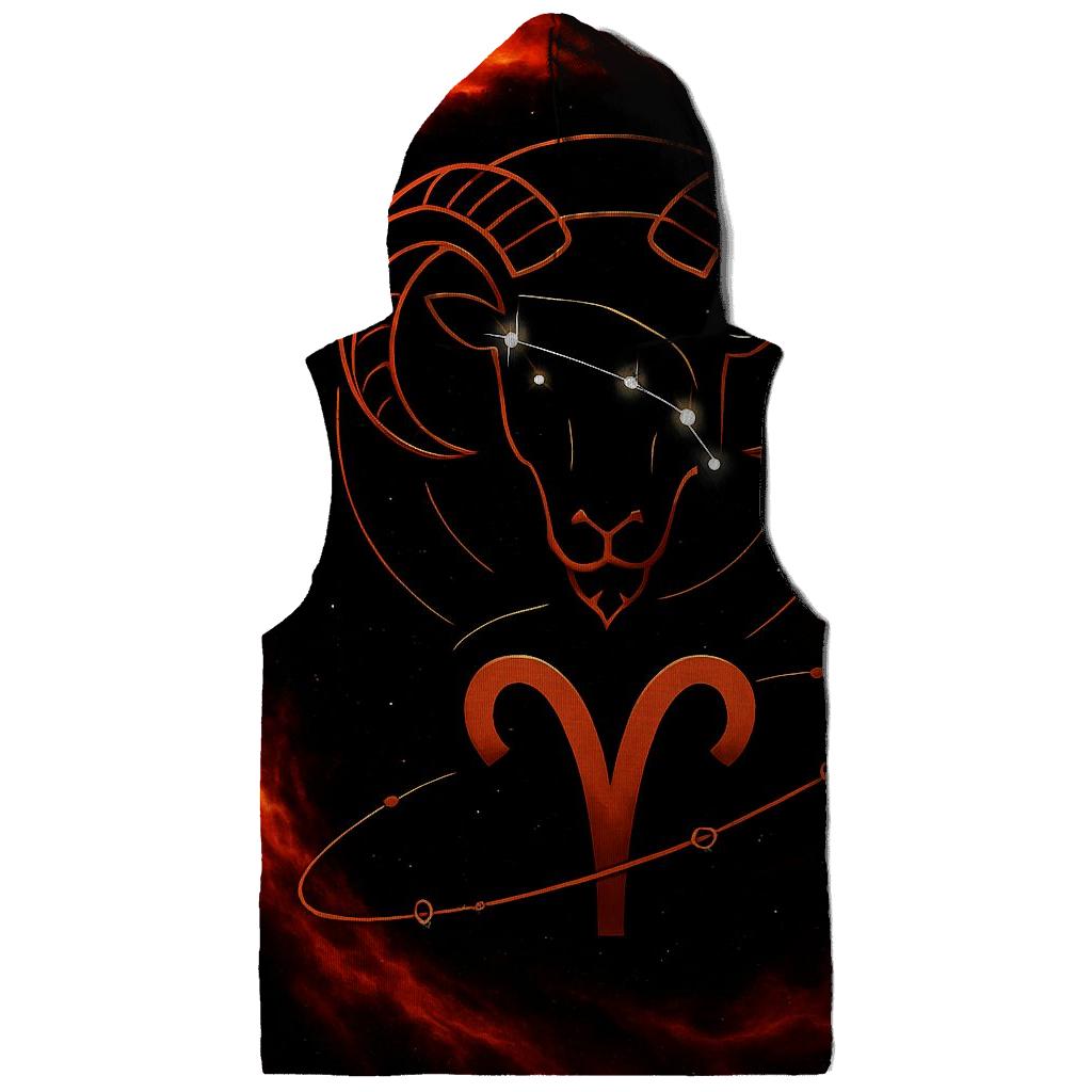 Aries Fire Ram Retrograde Orbit Emblem embroidered hoodies