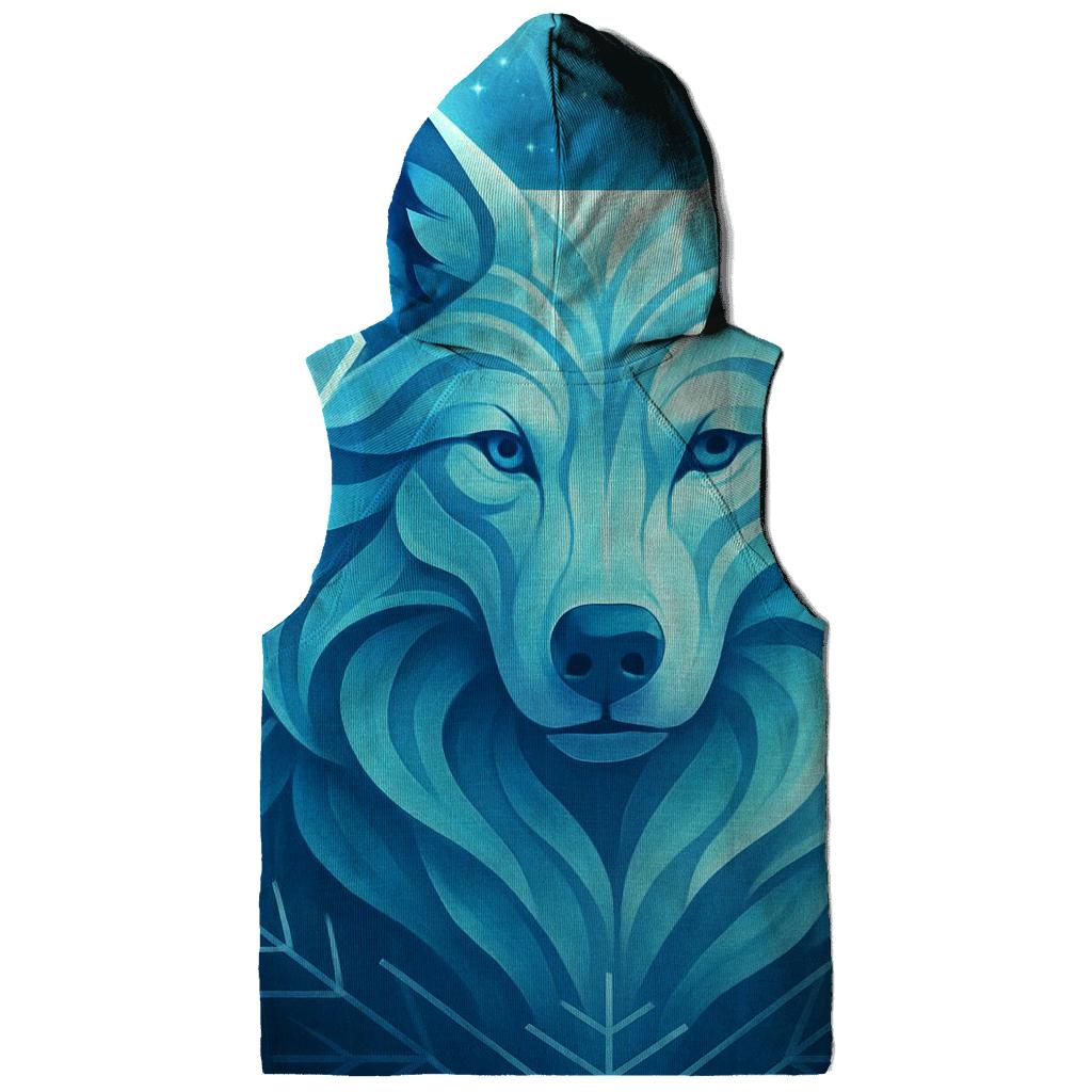 Crown Of The Aurora Warden premium hoodies