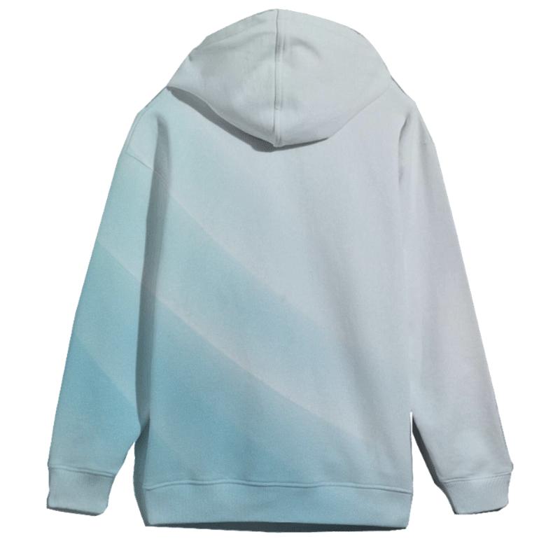 Polar Glass Veil graphic hoodies