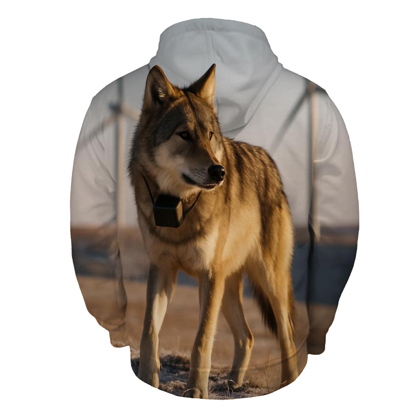 Radio Collared Wolf At Wind Farm Steppe premium hoodies