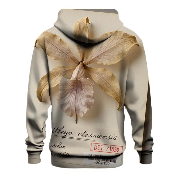 Pressed Herbarium Specimen Of Victorian Era Orchid designer hoodies