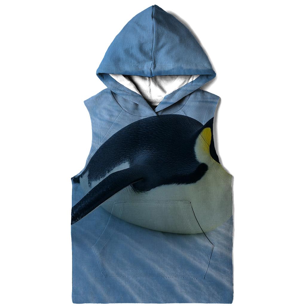 Aurora Edge Emperor graphic hoodies