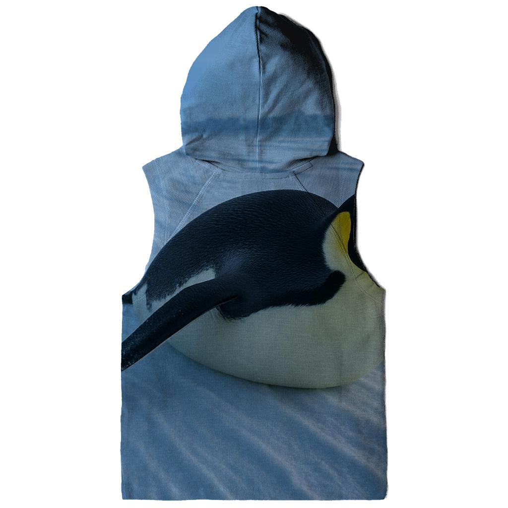 Aurora Edge Emperor graphic hoodies