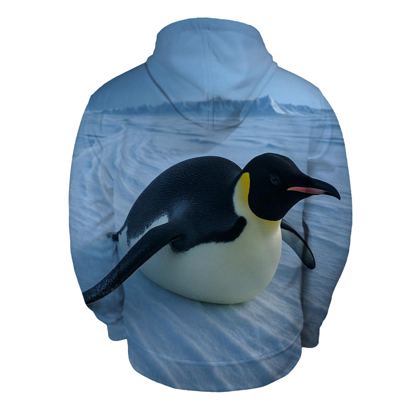 Aurora Edge Emperor graphic hoodies