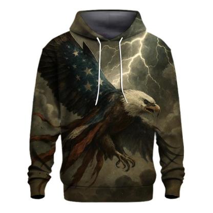 Stormfront Eagle Flag Breakthrough designer hoodies