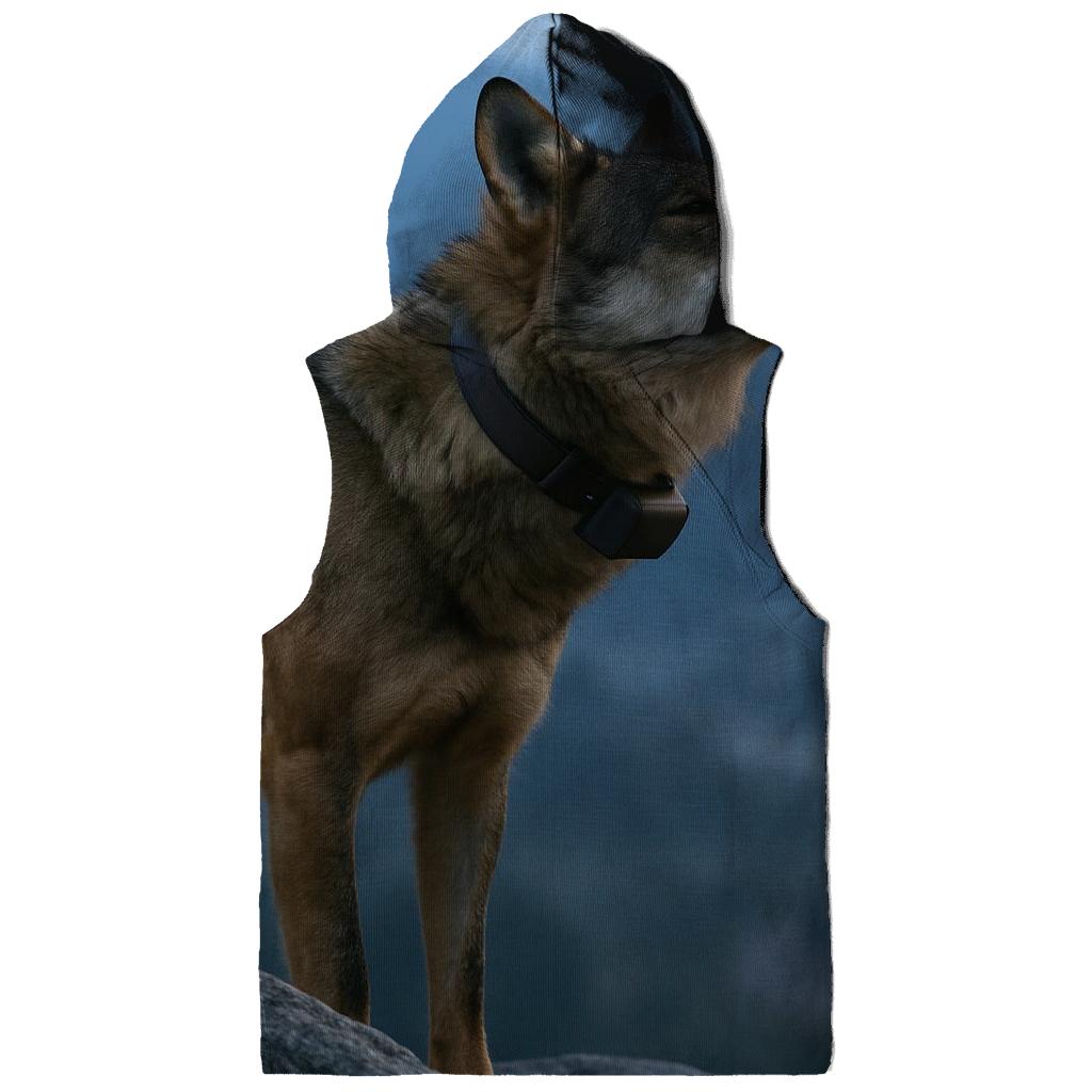 Radio Collared Iberian Wolf On The Camino Ridge hoodie designs