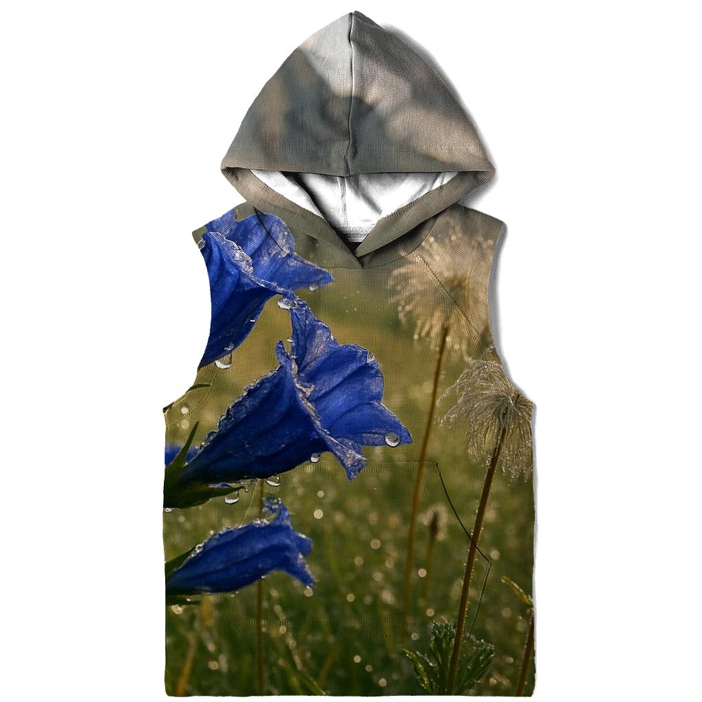 Storm Cleared Alpine Meadow With Gentian And Anemone Seedheads hoodie trends
