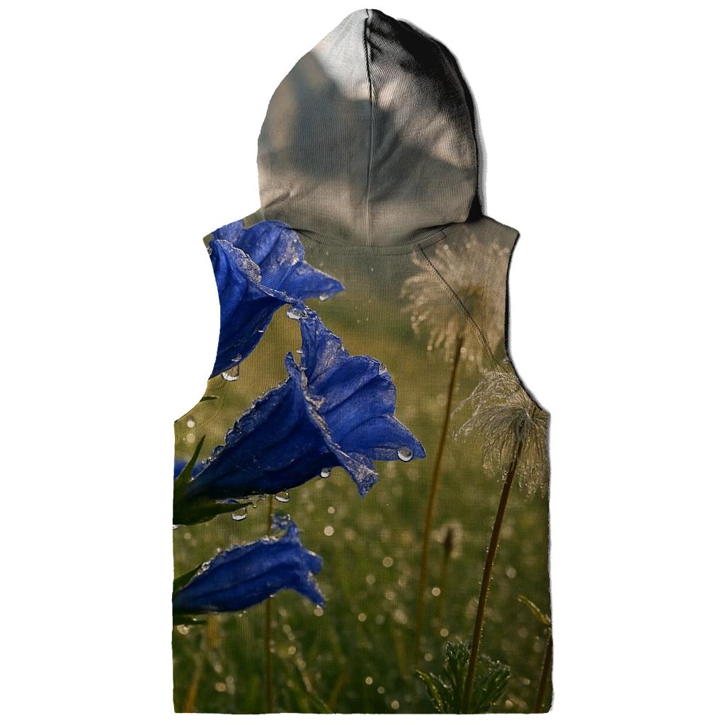 Storm Cleared Alpine Meadow With Gentian And Anemone Seedheads hoodie trends