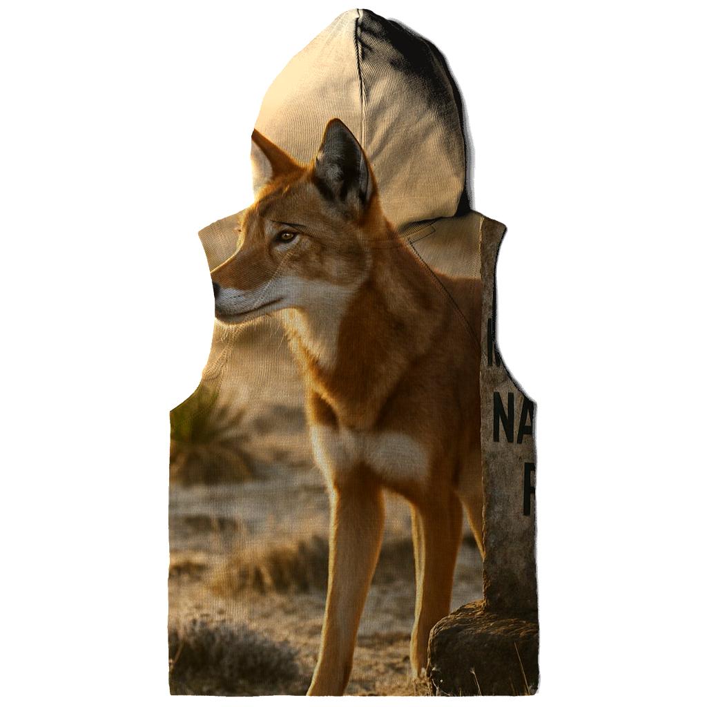Ethiopian Wolf At The Sanetti Plateau Boundary hoodie styles