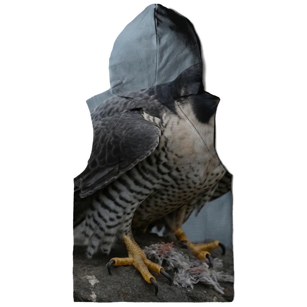 Basalt Ledge Sentinel Peregrine Falcon lightweight hoodies