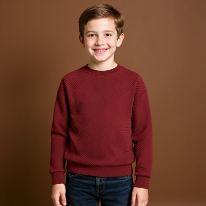 Boys Geometric Pattern Sweatshirts with Long Sleeves Pullover Style