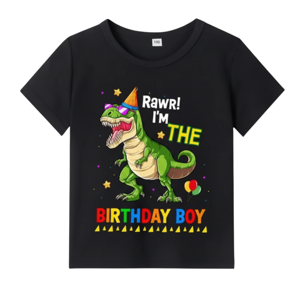 Boys Dinosaur Birthday Print T Shirt