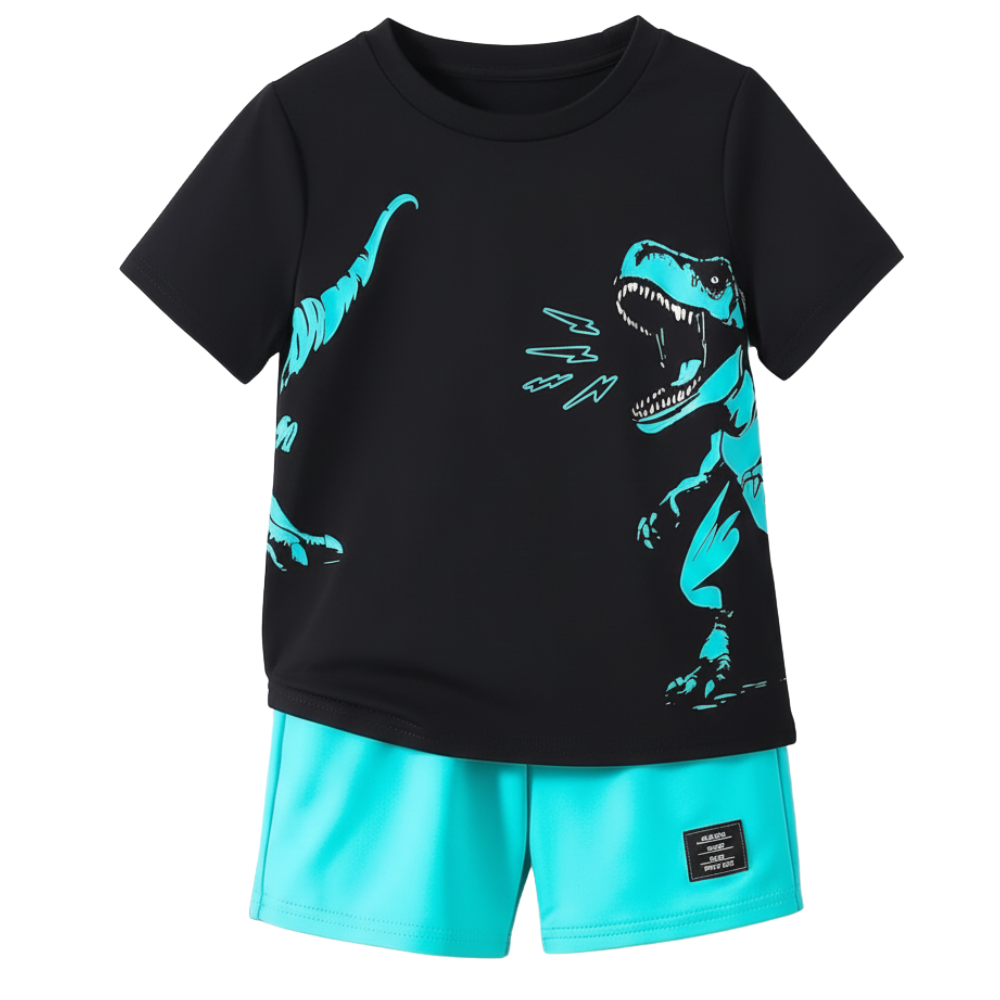 Dinosaur Print Short Sleeve T Shirt And Shorts Set