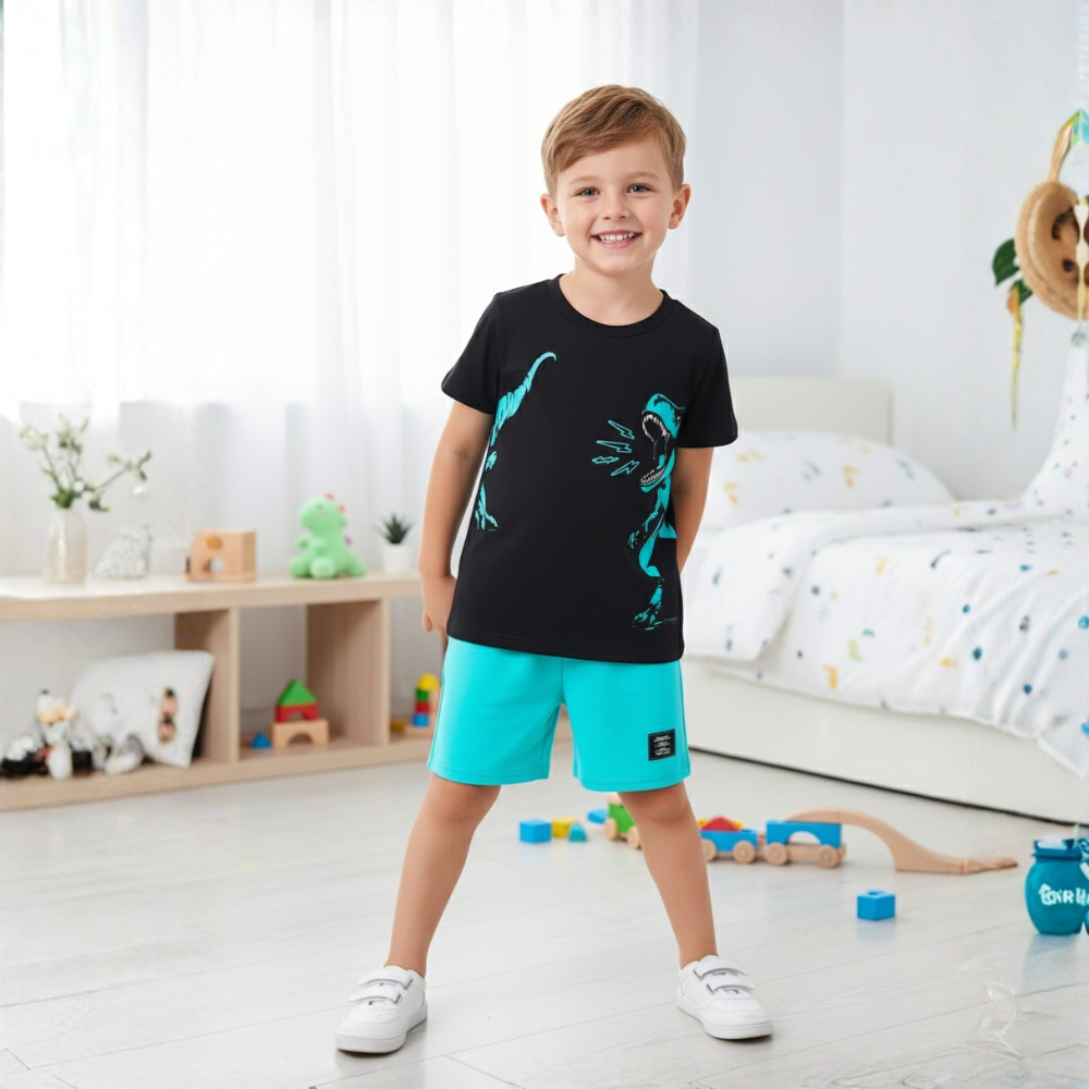 Dinosaur Print Short Sleeve T Shirt And Shorts Set