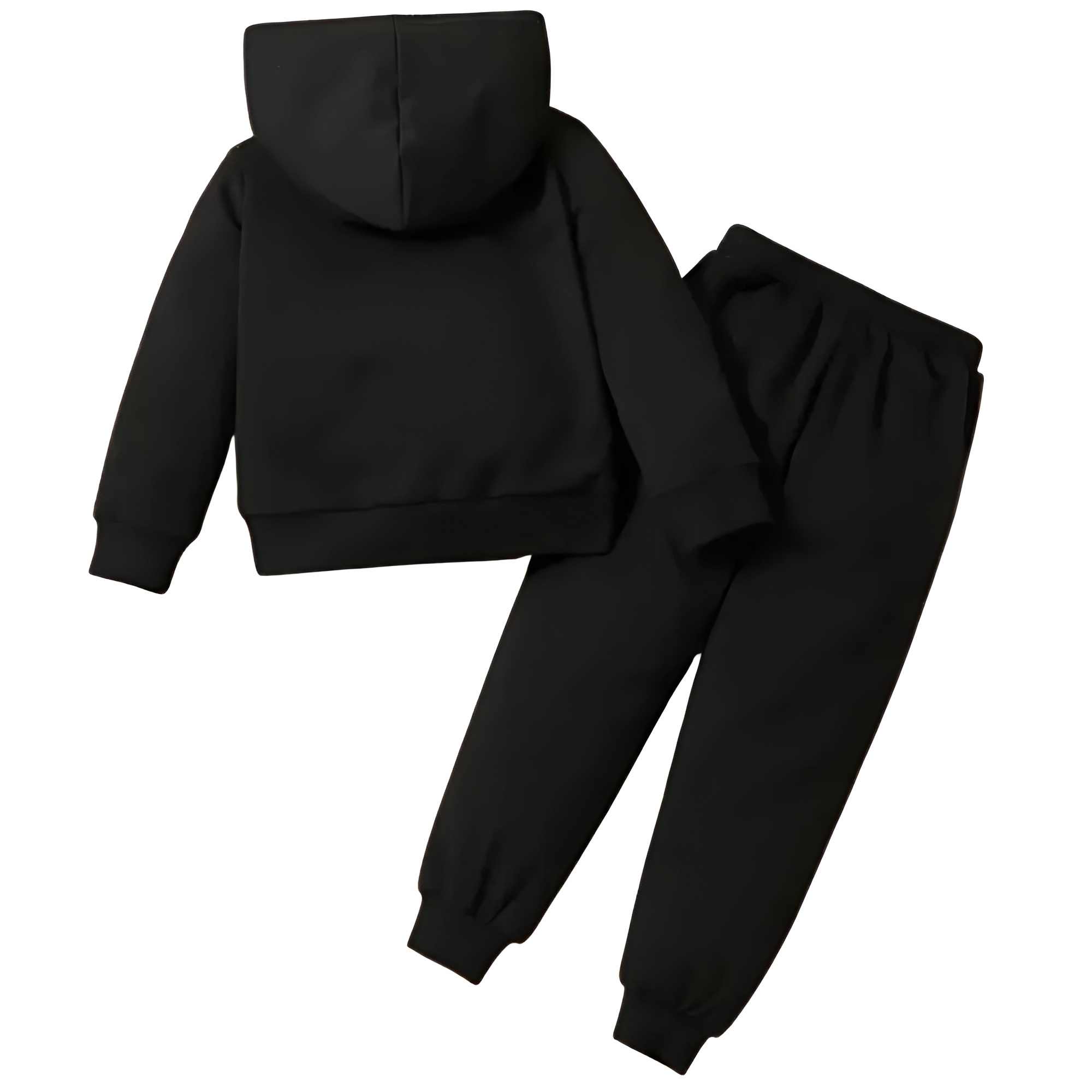 2pcs Baby Girl Cartoon Dinosaur Print Long Sleeve Hooded Fleece Sweatshirt and Pants Set