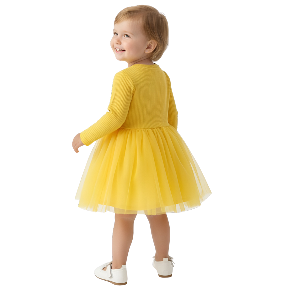 Long Sleeve Floral Mesh Party Dress For Baby