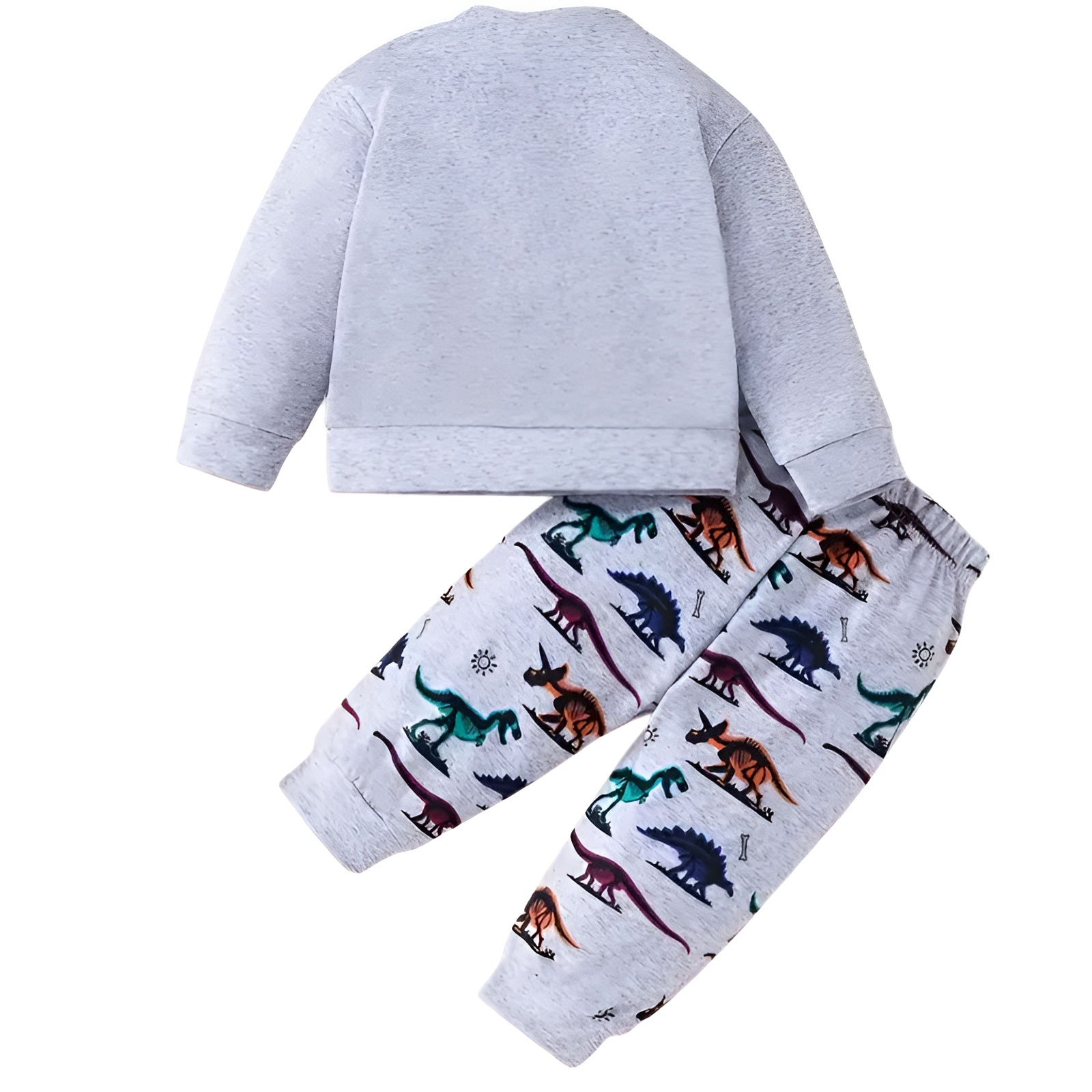Boy Dinosaur Print Long Sleeve Top and Pants Two Piece Set