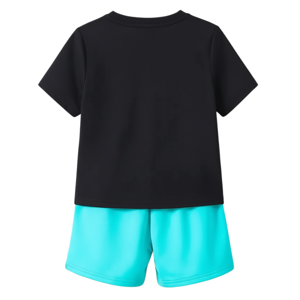 Dinosaur Print Short Sleeve T Shirt And Shorts Set