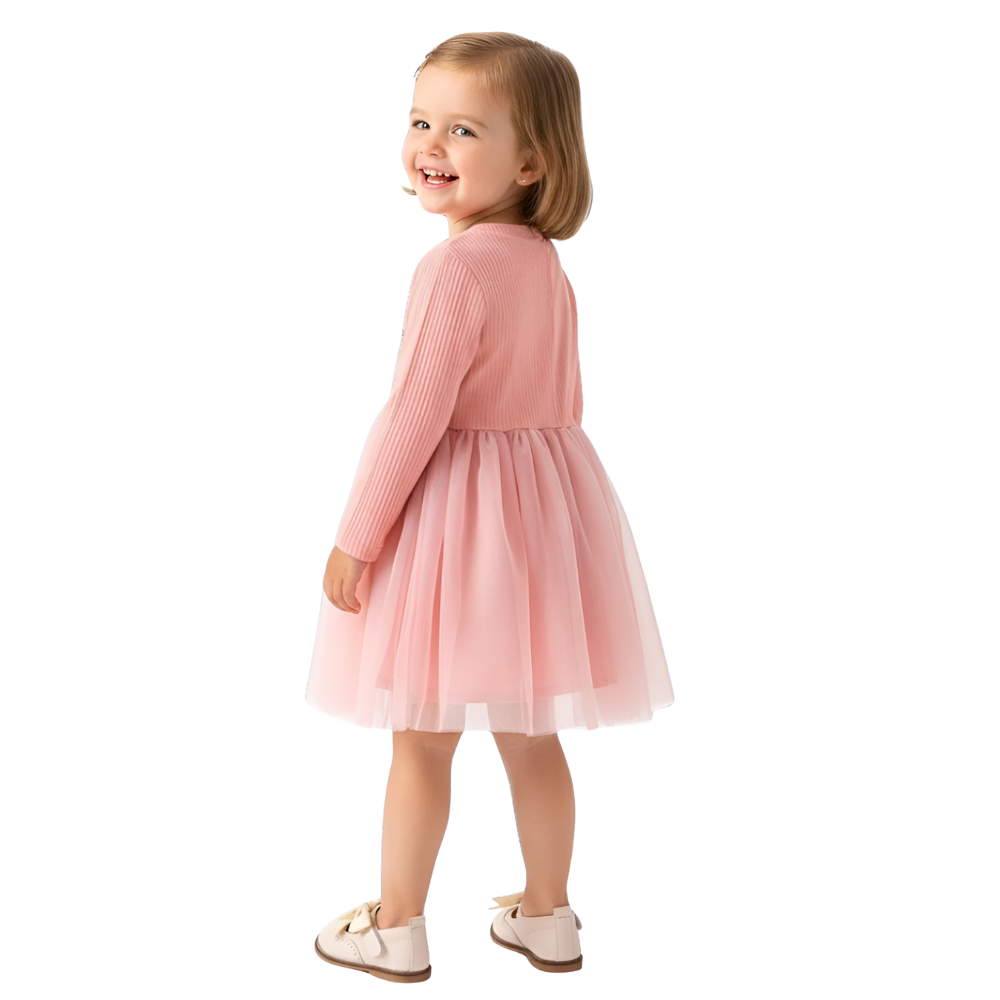 Long Sleeve Floral Mesh Party Dress For Baby
