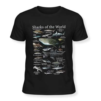 Sharks Of The World Graphic Printed T Shirt For Boys