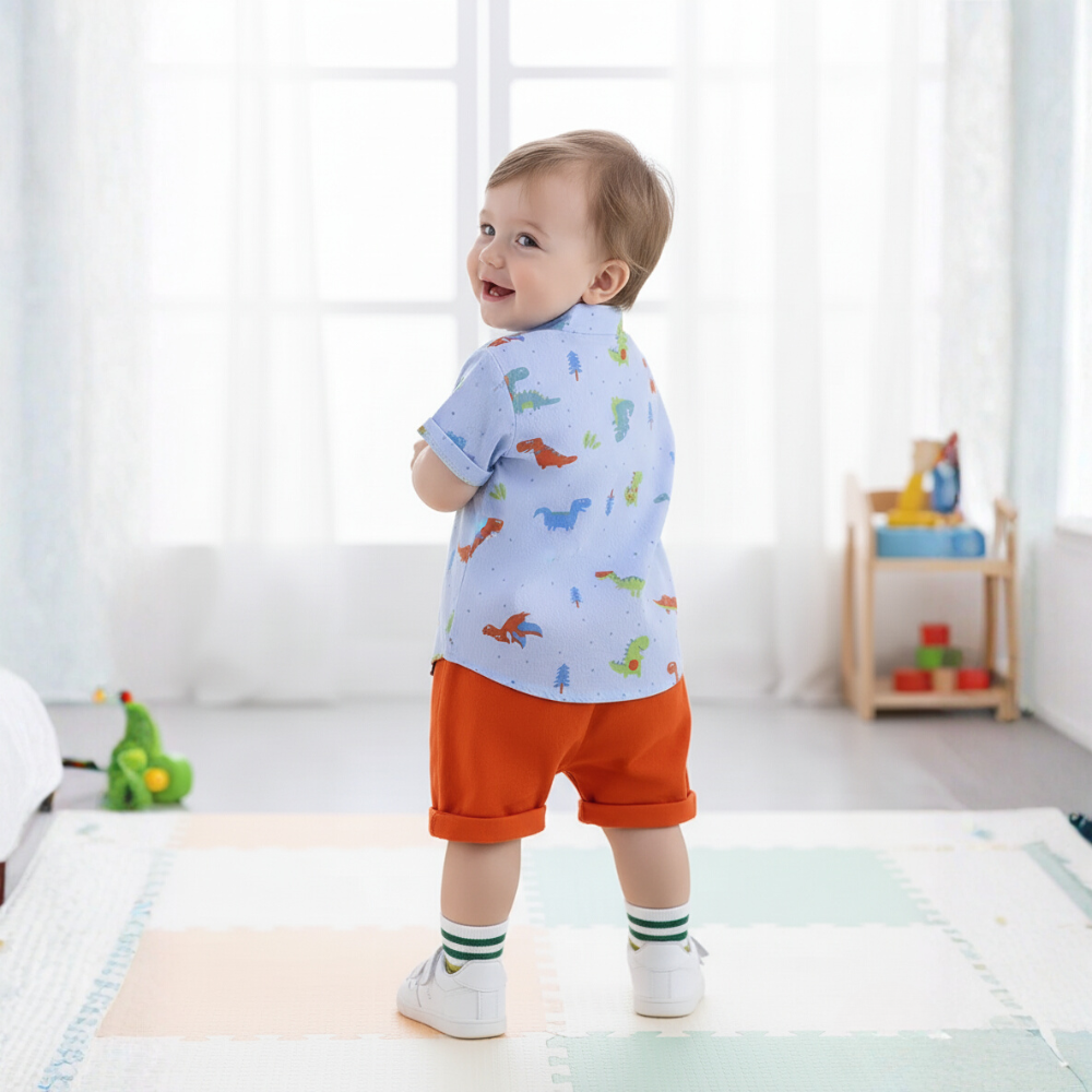 Colorful Dinosaur Print Shirt And Shorts 