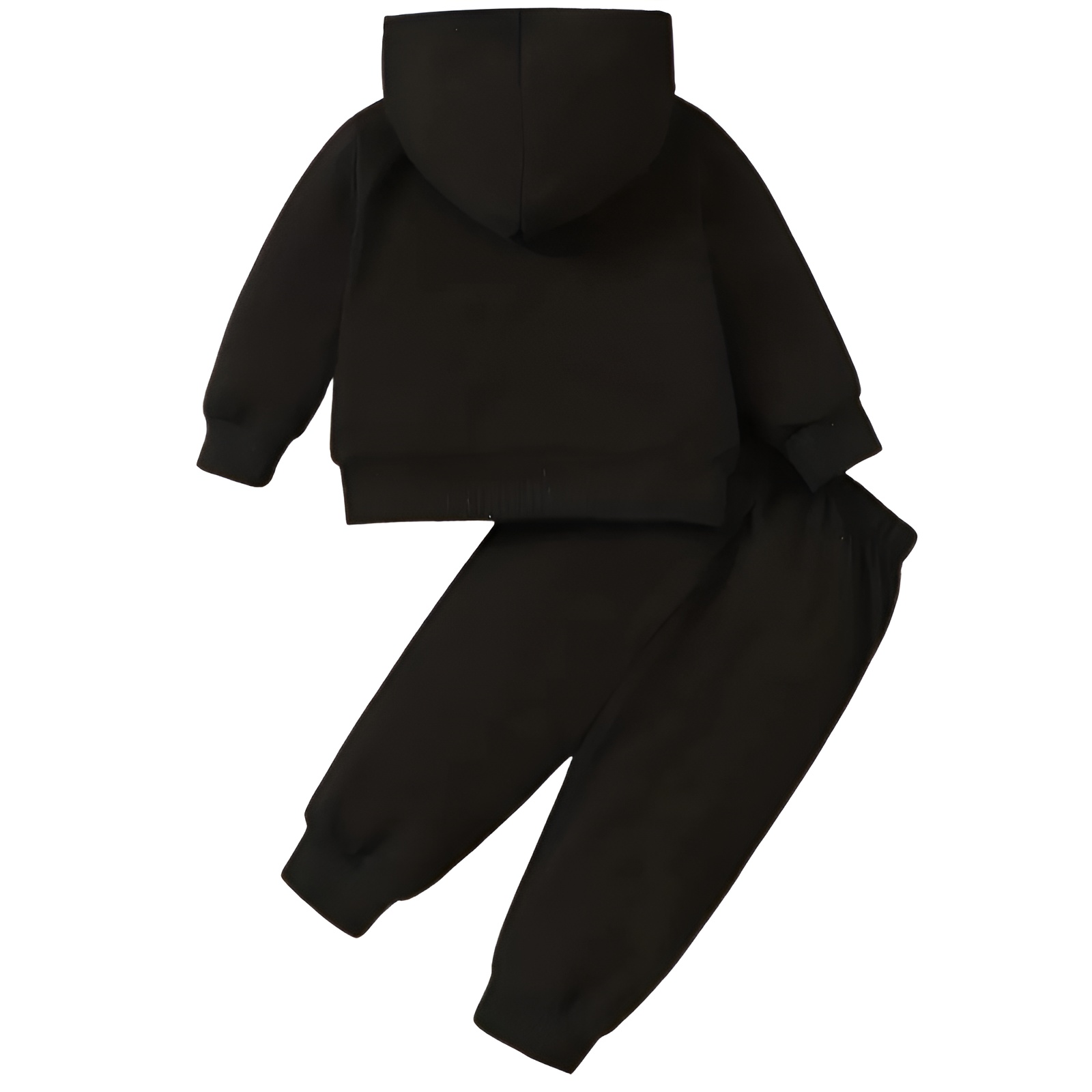 Girls Butterfly Print Hooded Fleece Long Sleeve Sweatshirt and Pants Two Piece Set